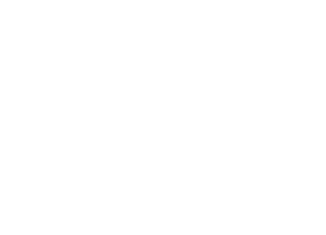WienerBörger